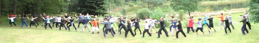 Akademie des DTB-Dachverbands empfiehlt zertifizierte Lehrer-Ausbildung Saarbr�cken / Saarland f�r Qigong, Tai Chi und Push Hands